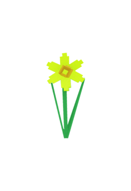 Daffodil